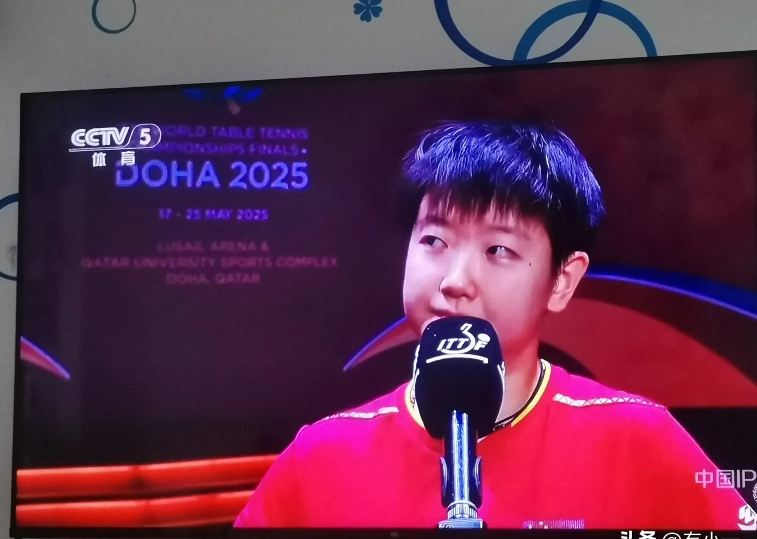 九游娱乐官方平台-关于中国女排击败老对手孙颖莎，晋级之路一路高歌的信息